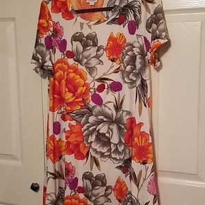 Lularoe carly